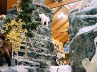photos 2000-200901025